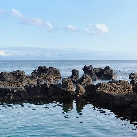 Adega Do Portinho Velho * Piedade (Azores)